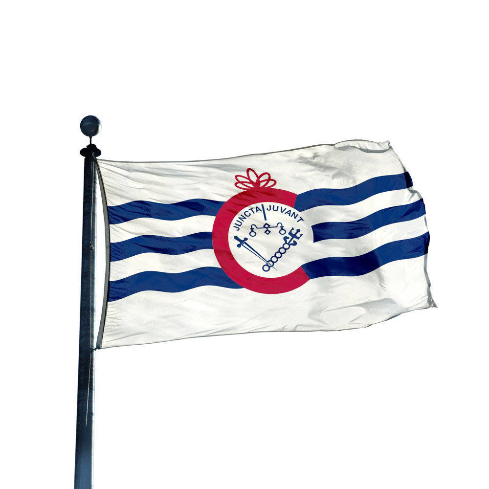 Us 5000 Bandiera Grand Union 3x5 Piedi - 100D Con Occhielli, Spedizione Veloce USA Bandiera Spedizione Veloce USA - Foto 12