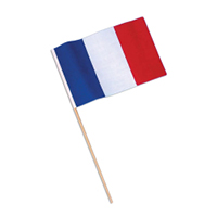Petit Fanion Wimpel / Pennant – CSSA SEDAN – France