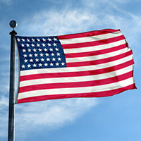 USA 旗 160 星条旗 United States of America File:Flag of the United States (Pantone).svg - Wikimedia Commons