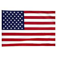 5 Stück USA Flaggen Zum Handschwenken – 14x21 Cm, Aus Terylen, Mit Goldfarbenen Enden Für Partys & Events